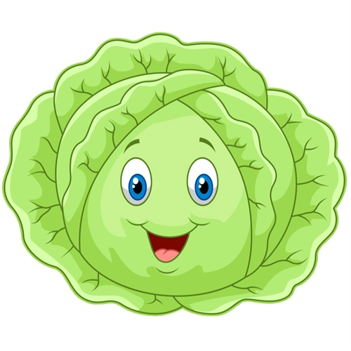 Cabbage Classroom Vegetable Transparent Sticker